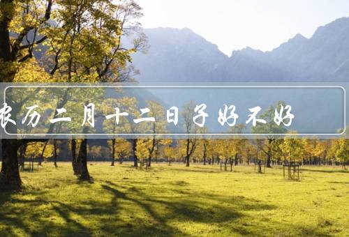 农历二月十二日子好不好，龙抬头／祭祀祖先／欢度新春