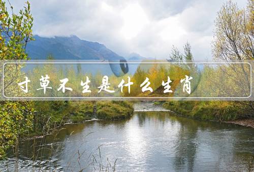 寸草不生是什么生肖（寸草不生、改变命运、积极面对生活）