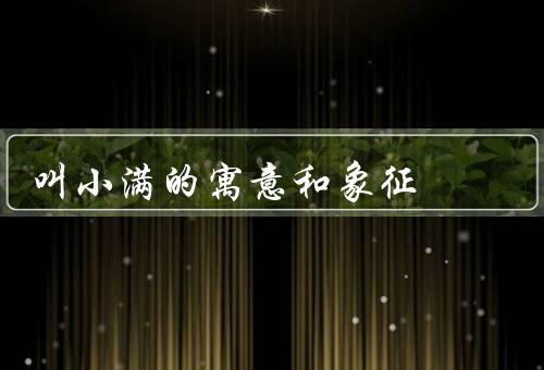 叫小满的寓意和象征（寓意、对现代社会的启示）