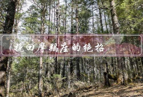 挽回摩羯座的绝招（坚定的目标／稳定的态度／成熟的交流）