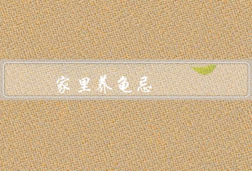 家里养龟十大禁忌，环境不合适、饮食不当、缺乏日光