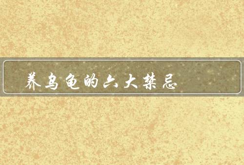 养乌龟的六大禁忌（水质不合适、饮食不均衡、缺乏光照）