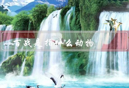 百战是指什么动物（百战由来、战斗技巧、智慧和灵巧）
