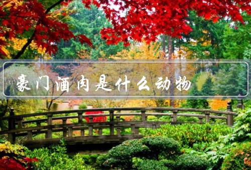 豪门酒肉是什么动物，外貌／生活习性／保护现状