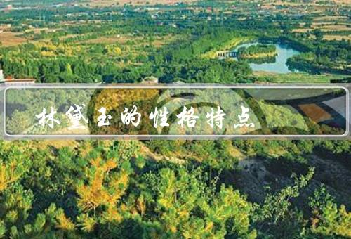 林黛玉的性格特点，才情出众／感情细腻／婉约忧郁