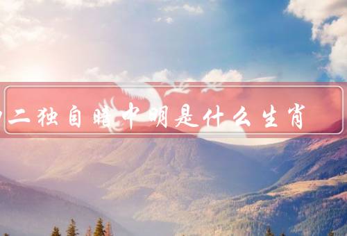 四二独自暗中明是什么生肖（四二独自暗中明、聪明机智、独立自主）