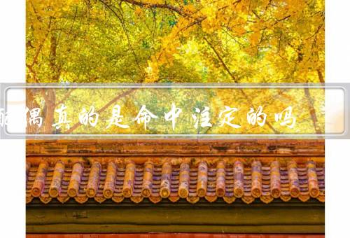 配偶真的是命中注定的吗（命中注定的相遇、缘分的重要性）