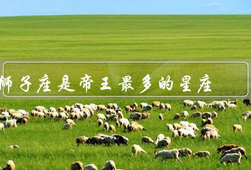 狮子座是帝王最多的星座（特点／成功案例／指导意义）