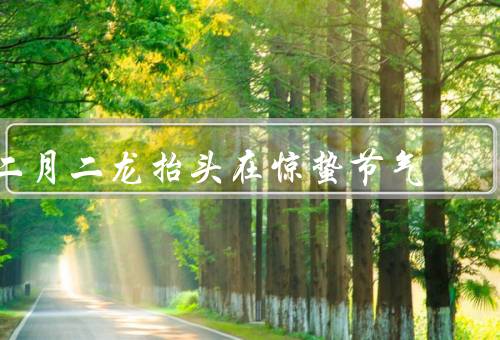 二月二龙抬头在惊蛰节气（来历、庆祝活动、意义）