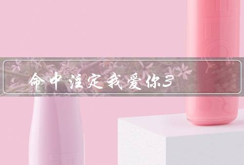 命中注定我爱你3（重逢、困难与挑战、命中注定的爱情）