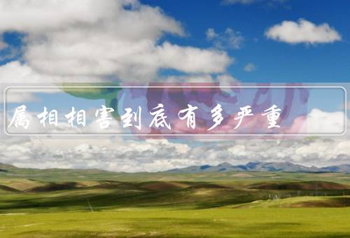 属相相害到底有多严重（背景、严重程度、实际影响）