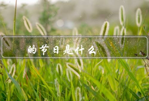 回族的节日是什么（清明节、开斋节、古尔邦节）