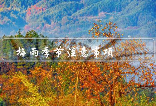 梅雨季节注意事项，梅雨季节的防雨措施／防潮防霉的注意事项