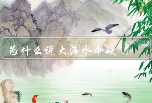 为什么说大海水命硬（强大的力量／丰富的资源／广阔的空间）