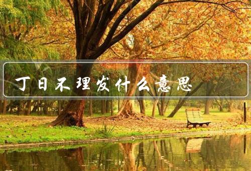 丁日不理发什么意思（来源／含义／如何理解）