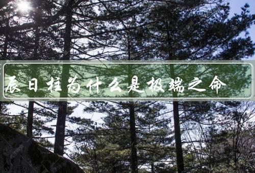 壬辰日柱为什么是极端之命，命主性格极端、事业发展起伏大