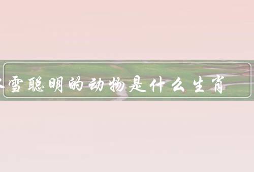冰雪聪明的动物是什么生肖（冰雪聪明、冰雪智慧、聪明才智）