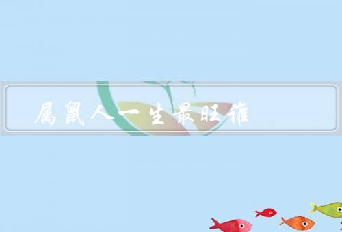 属鼠人一生最旺谁（聪明才智／财富运势／事业发展）