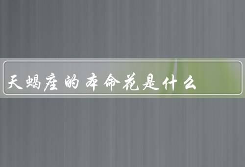 天蝎座的本命花是什么，天蝎座的性格特点、与天蝎座的契合