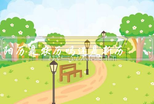 阳历是农历吗还是新历（与农历的区别／优势／农历的传承与价值）