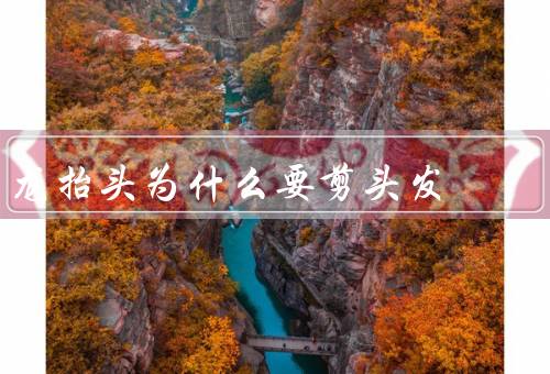 龙抬头为什么要剪头发，历史、文化、舞蹈要求