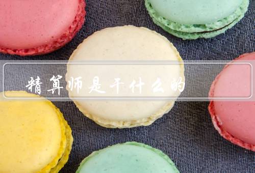精算师是干什么的，职责／应用领域／技能要求