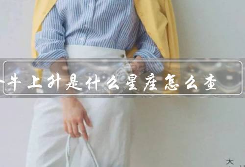 金牛上升是什么星座怎么查，出生时间和地点／星座查询工具