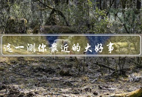 选一测你最近的大好事，新工作机会、买到心仪的房子、获得奖学金