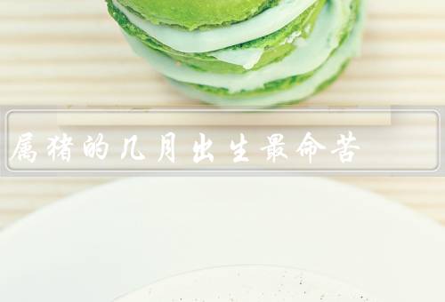 属猪的几月出生最命苦，冬月／夏月／七月