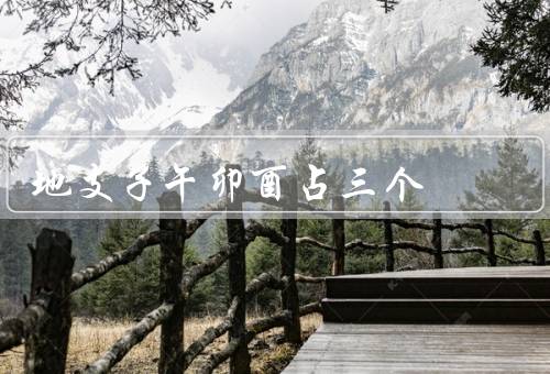 地支子午卯酉占三个，子：聪明好学、午：热情活力、卯：机智灵活