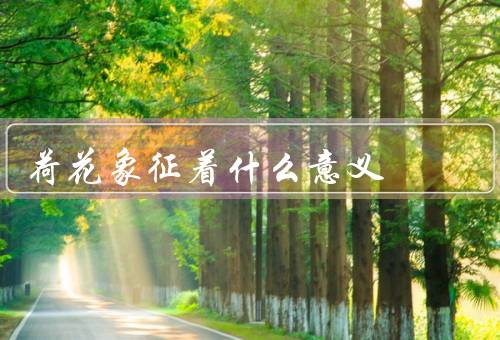 荷花象征着什么意义，纯洁／高尚／坚强