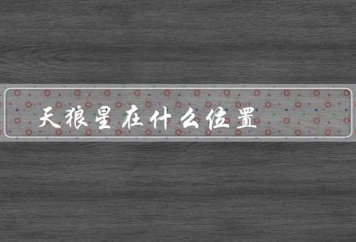天狼星在什么位置，位置／特点／意义
