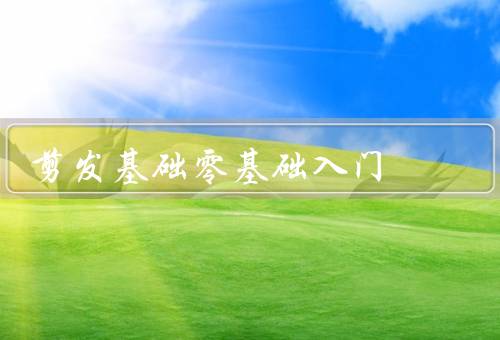 剪发基础零基础入门，基本工具／头发分区／剪发技巧
