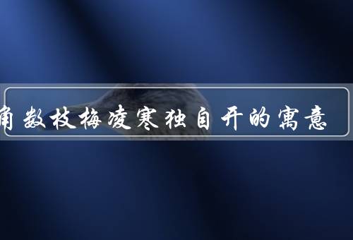 墙角数枝梅凌寒独自开的寓意，坚韧生命力、孤独与坚守、美丽与希望