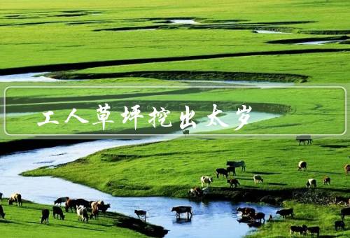 工人草坪挖出太岁，太岁的发现／神秘事件的发生／解开太岁的谜团