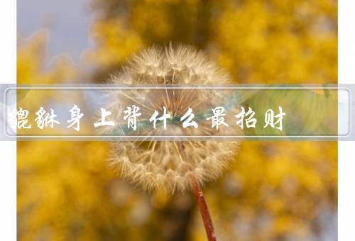 貔貅身上背什么最招财，玲珑宝塔／金元宝／聚宝盆