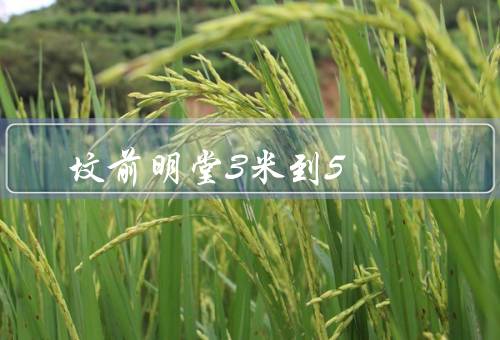 坟前明堂3米到5（设计与布局／装饰和陈设／祭祀仪式）