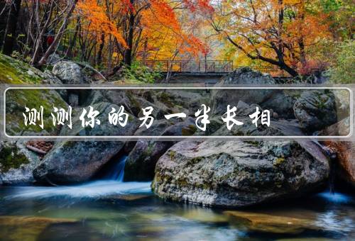 测测你的另一半长相（朋友圈照片／视频聊天／面对面相处）