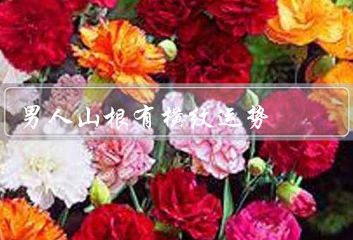 男人山根有横纹运势（成功机遇／积极乐观／顺利发展）