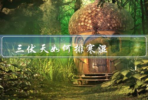 三伏天如何排寒湿，合理饮食、适度运动、良好个人卫生习惯