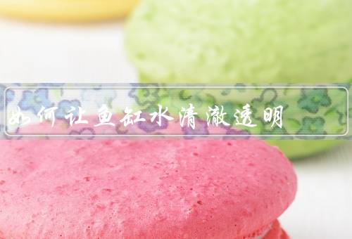 如何让鱼缸水清澈透明（定期清洁鱼缸／合理投喂鱼类／增加过滤设备）