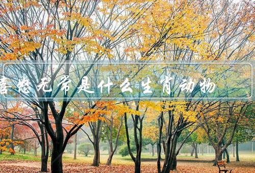 喜怒无常是什么生肖动物，生肖动物／特征／如何应对