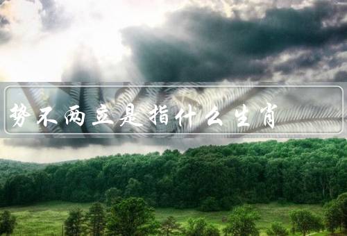 势不两立是指什么生肖，势不两立的生肖／相冲关系的影响