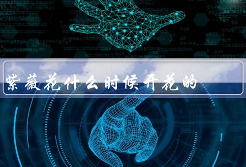 紫薇花什么时候开花的，外观特征、开花时间、意义与价值