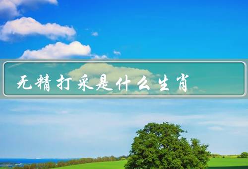 无精打采是什么生肖，鼠／牛／兔