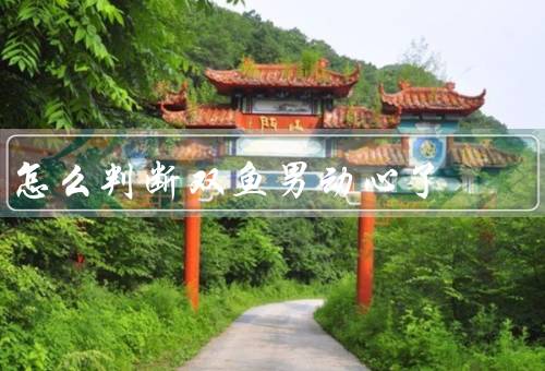 怎么判断双鱼男动心了，主动／关注细节／温柔体贴