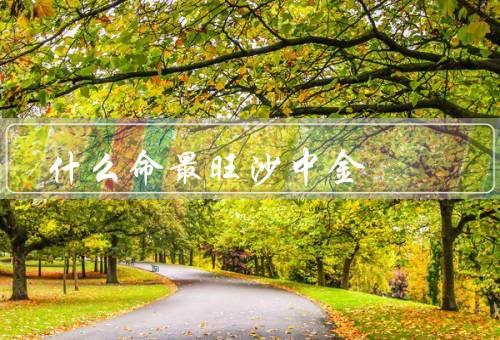 什么命最旺沙中金，特点／寓意／如何选择和保养
