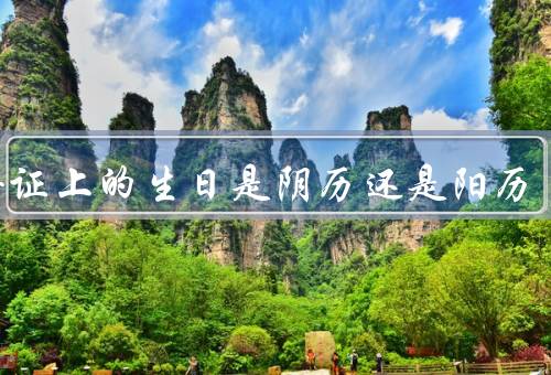 身份证上的生日是阴历还是阳历，生日的表示方式／身份证上的生日