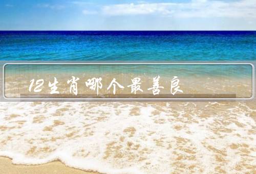 12生肖哪个最善良（善良品质、慷慨和宽容、无私奉献）