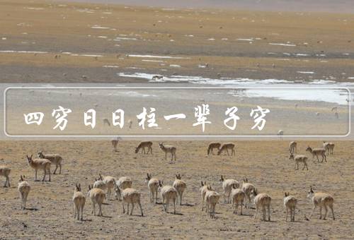 四穷日日柱一辈子穷（四穷日日柱一辈子穷、没有一丝希望、重新思考）